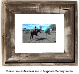 horse trail rides near me in Olyphant, Pennsylvania